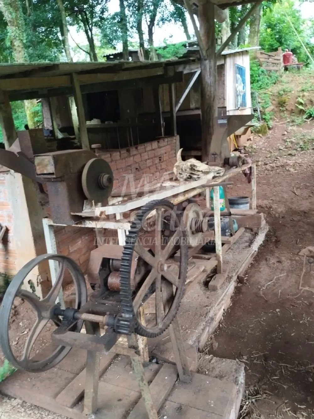 Sítio / Chácara para Venda no bairro Picada Verão em Sapiranga