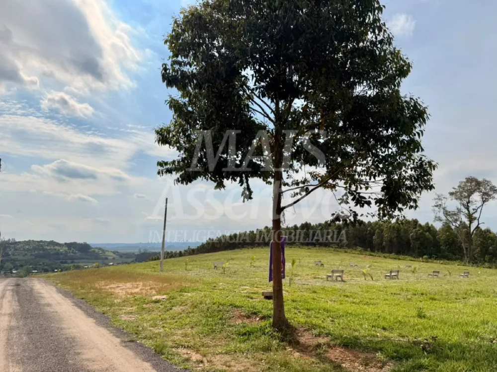 Terreno para Venda no bairro Lomba Grande em Novo Hamburgo