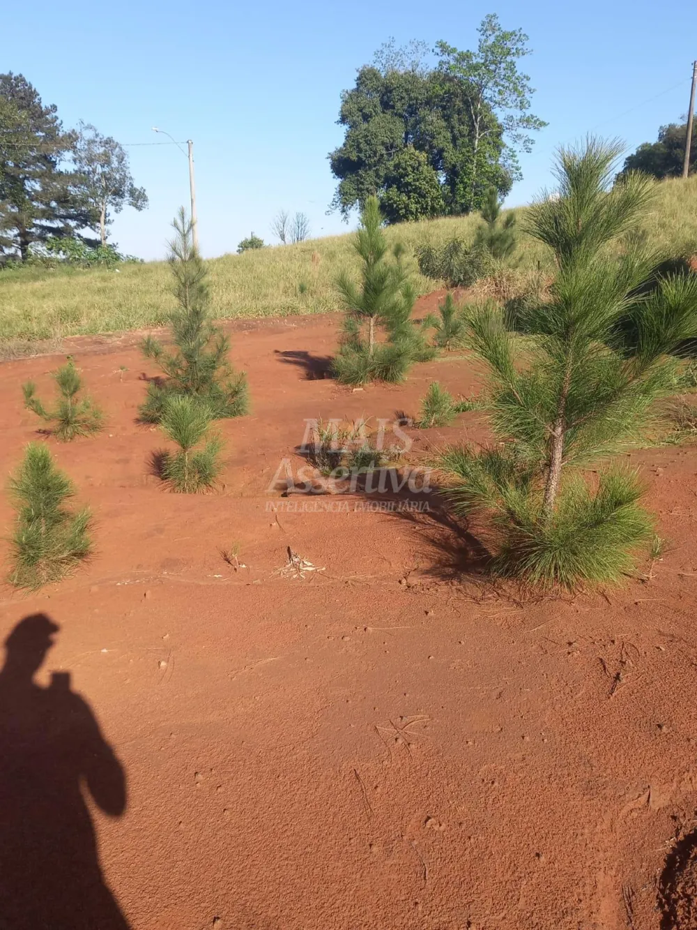 Terreno para venda, bairro Boa Vista em São Leopoldo - 313,95m² 