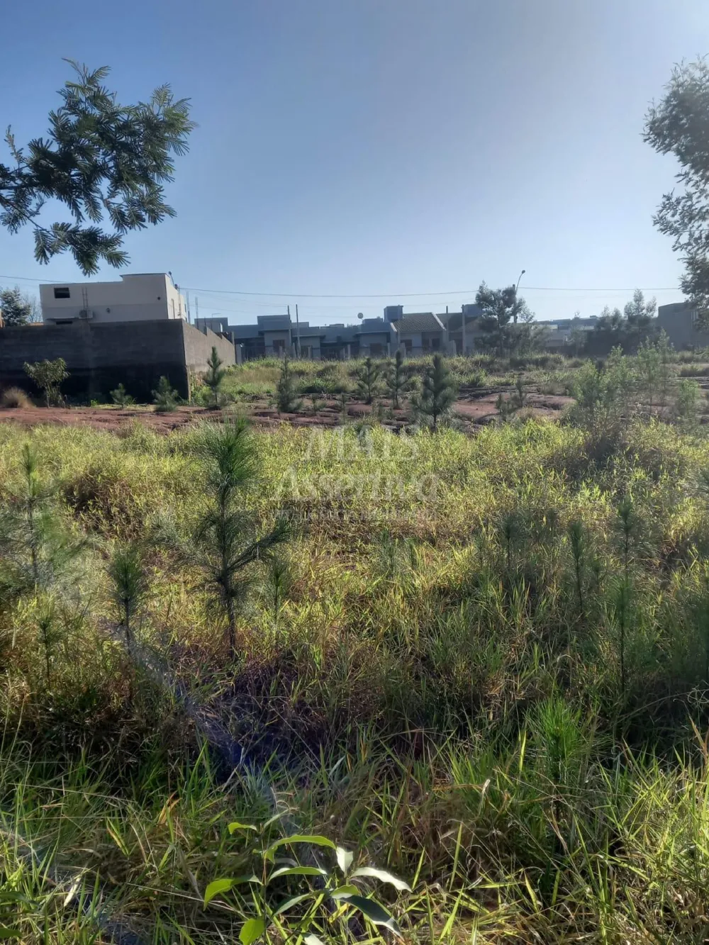 Terreno para venda, bairro Boa Vista em São Leopoldo - 313,95m² 