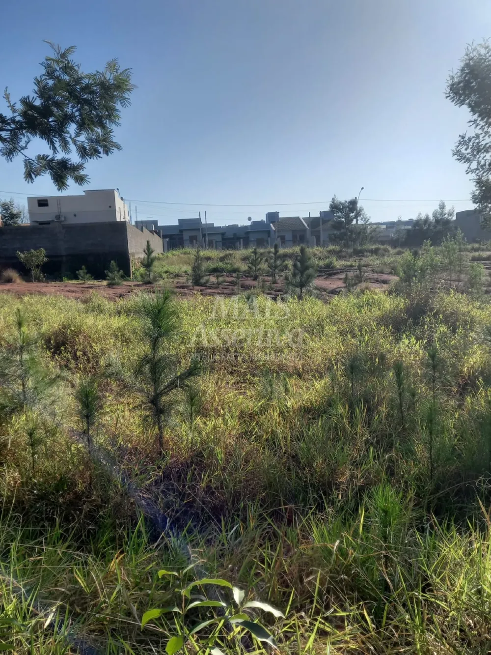 Terreno para venda, bairro Boa Vista em São Leopoldo - 313,95m² 