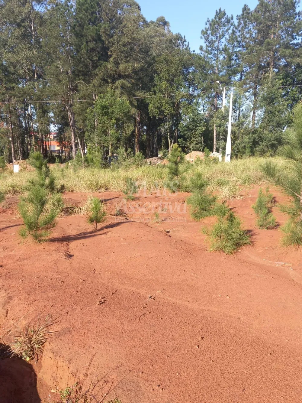 Terreno para venda, bairro Boa Vista em São Leopoldo - 313,95m² 