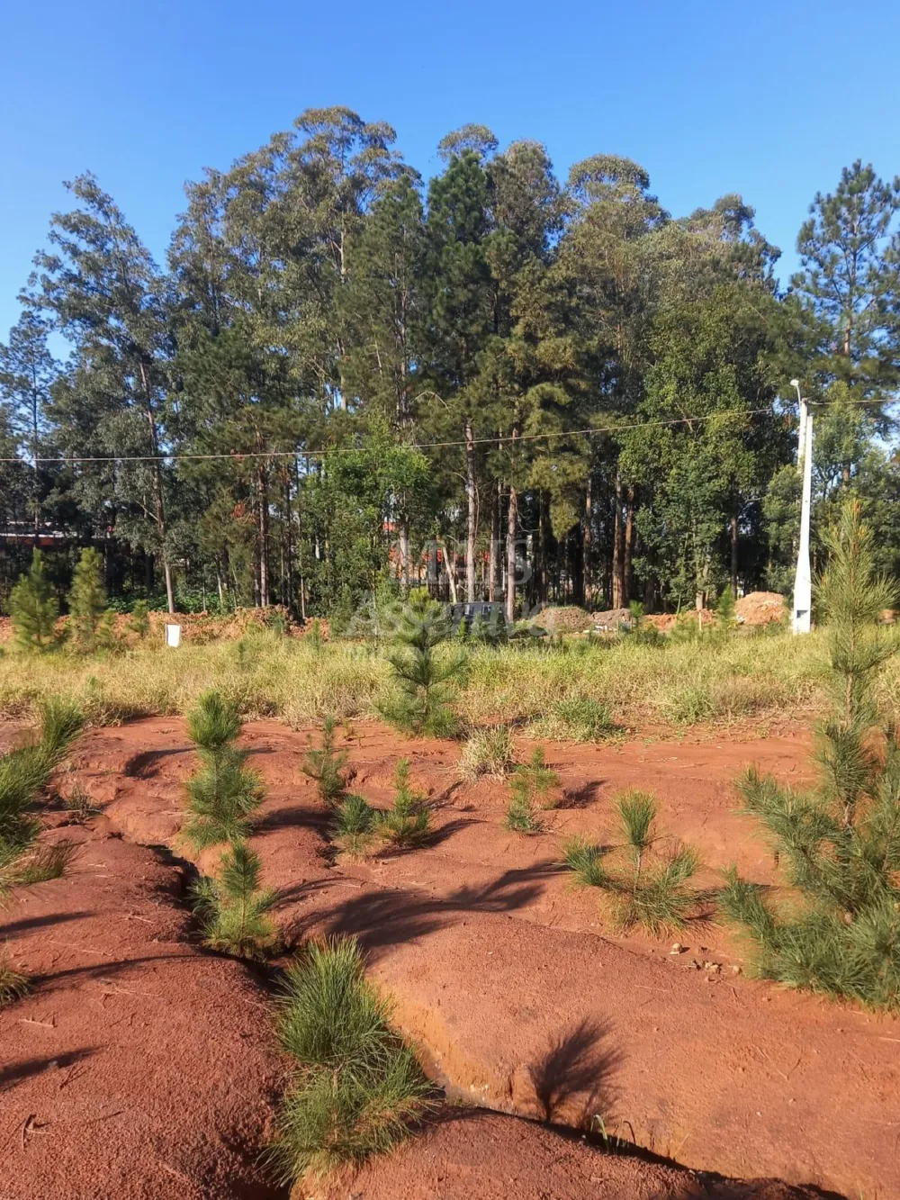 Terreno para venda, bairro Boa Vista em São Leopoldo - 313,95m² 