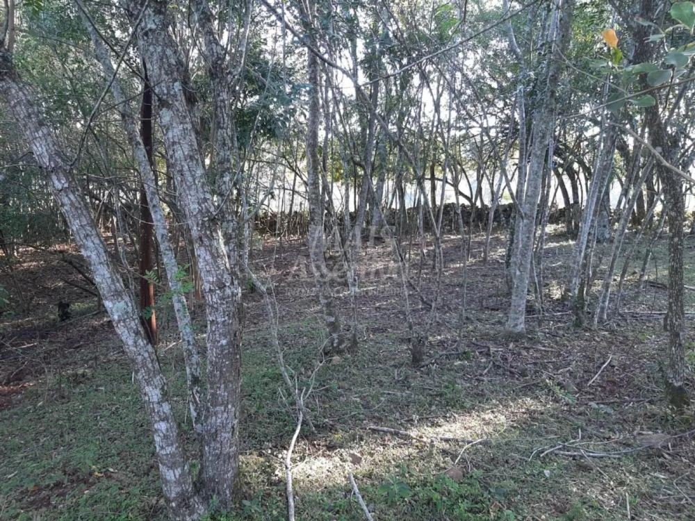 Área de 10 hectares para venda em São Francisco de Paula 