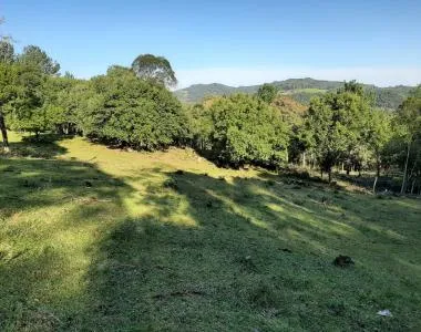 Área de 10 hectares para venda em São Francisco de Paula 