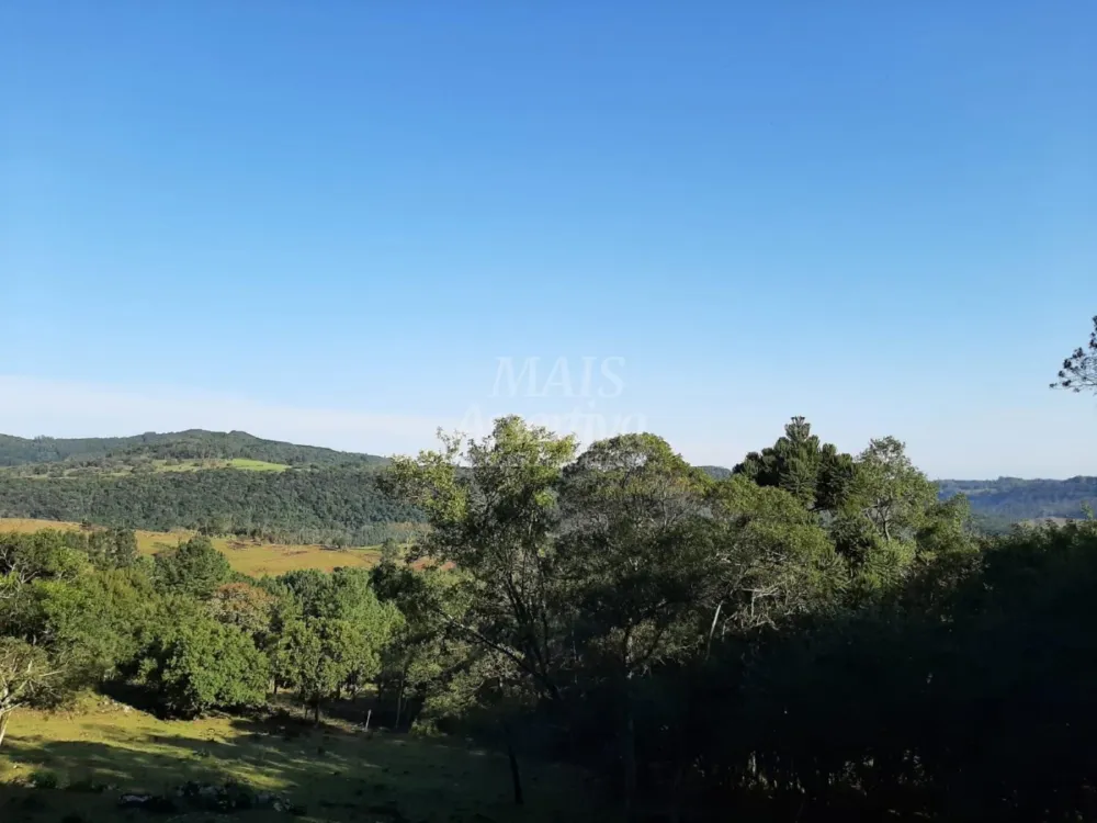 Área de 10 hectares para venda em São Francisco de Paula 