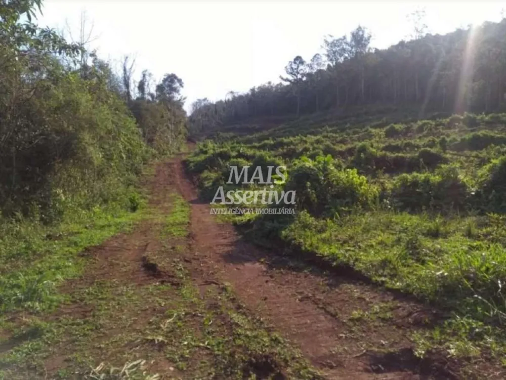Terreno para Venda em Três Coroas / RS no bairro água Brancas