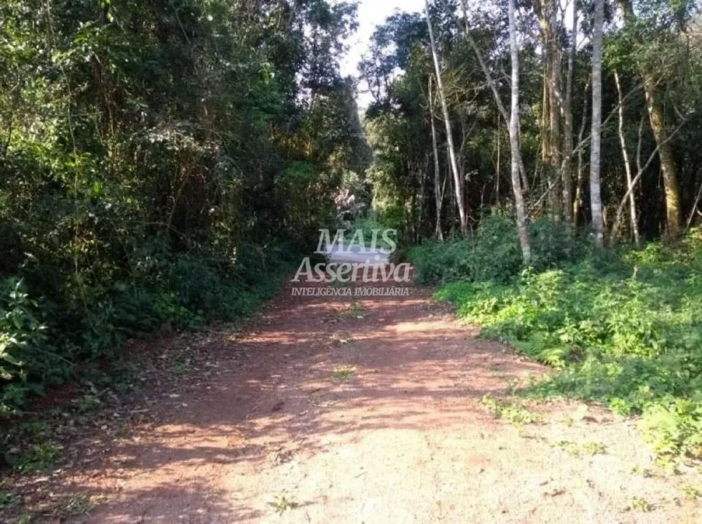 Terreno para Venda em Três Coroas / RS no bairro água Brancas