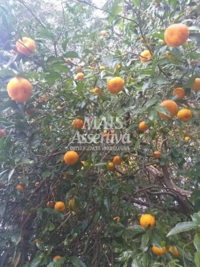Sítio para Venda em Rolante / RS no bairro Morro Da Figueira