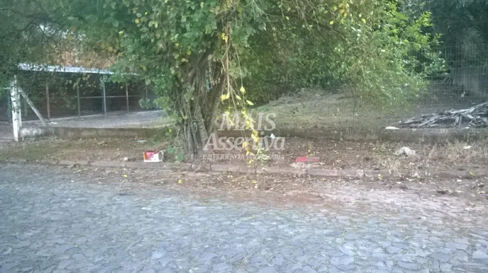 Terreno para Venda em São Leopoldo / RS no bairro Scharlau