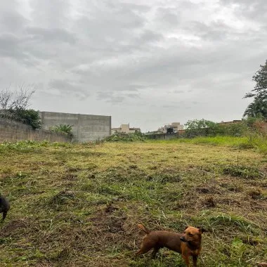 Terreno para venda na Scharlau, São Leopoldo - 310,00m²