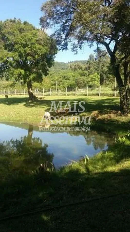 Sítio para Venda em São Francisco De Paula / RS no bairro Boa Vista