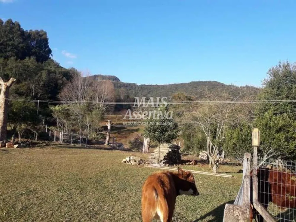 Sítio para Venda em São Francisco De Paula / RS no bairro Boa Vista