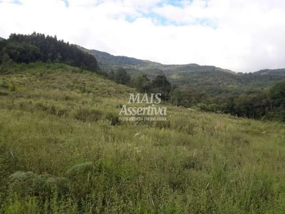 Sítio para Venda em São Francisco De Paula / RS no bairro Boa Vista