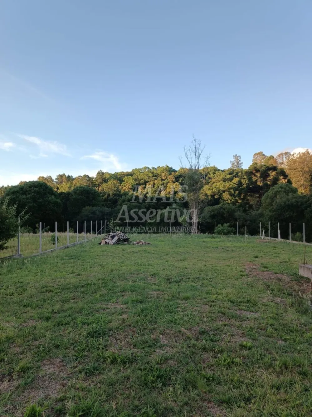Chácara Para Venda  Monte Bérico  Caxias do Sul  1.050m2