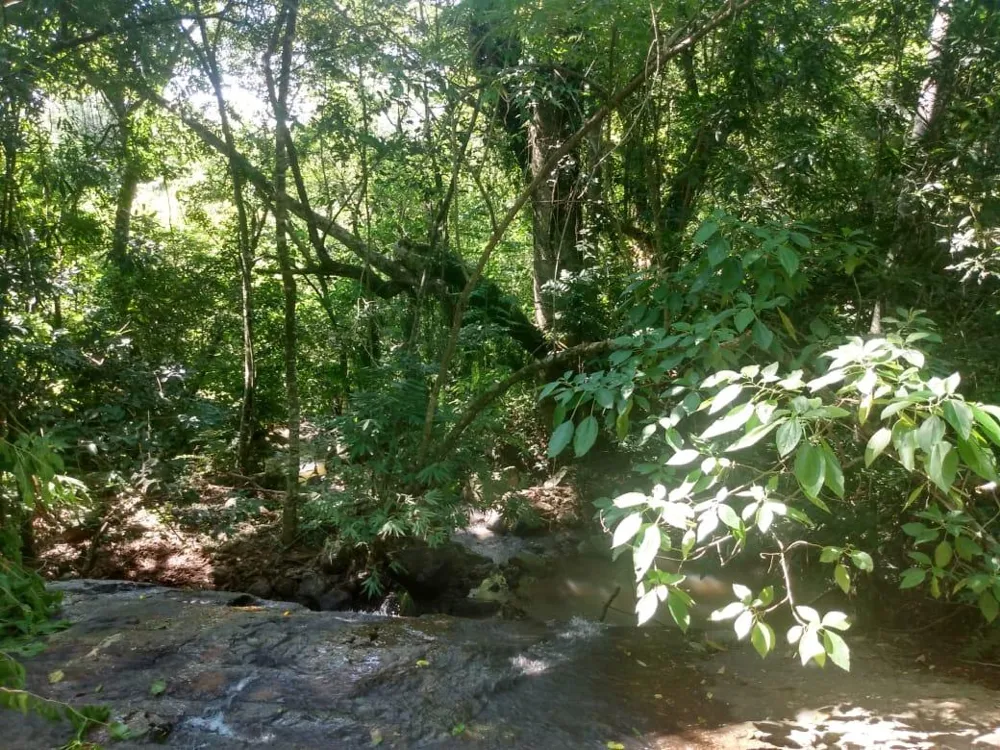Chácara para venda, bairro Voluntário Baixo em Igrejinha/RS.