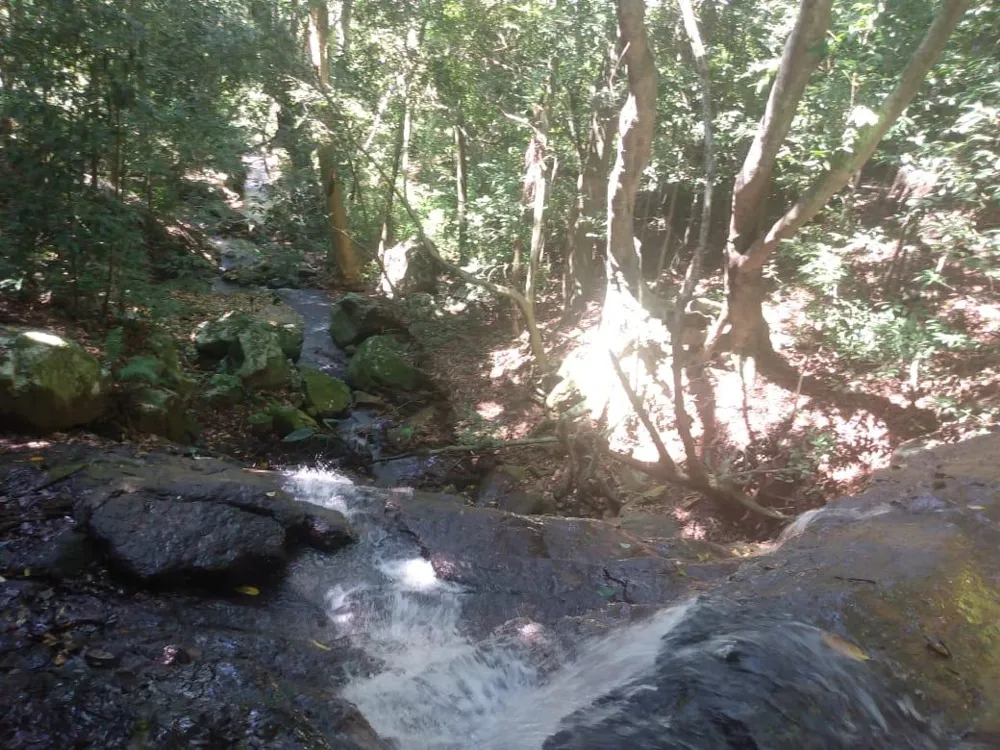 Chácara para venda, bairro Voluntário Baixo em Igrejinha/RS.