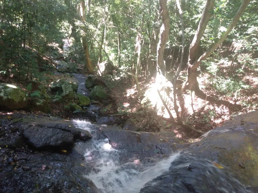 Chácara para venda, bairro Voluntário Baixo em Igrejinha/RS.