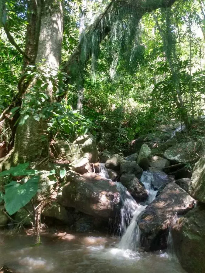 Chácara para venda, bairro Voluntário Baixo em Igrejinha/RS.