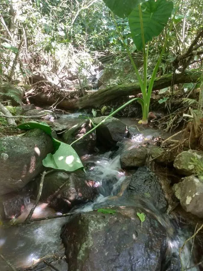 Chácara para venda, bairro Voluntário Baixo em Igrejinha/RS.