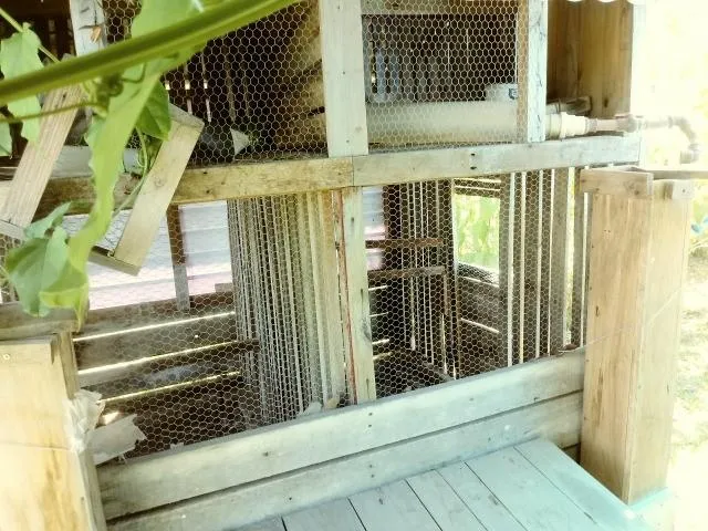 Chácara para Venda em Taquara / RS no bairro Fazenda Fialho