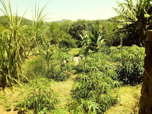Chácara para Venda em Taquara / RS no bairro Fazenda Fialho