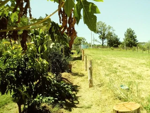 Chácara para Venda em Taquara / RS no bairro Fazenda Fialho