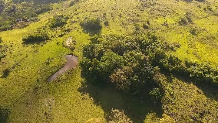 Chácara para Venda em Santo Antônio da Patrulha / RS no bairro Roça Grande