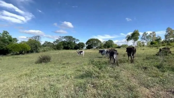 Chácara para Venda em Santo Antônio da Patrulha / RS no bairro Roça Grande