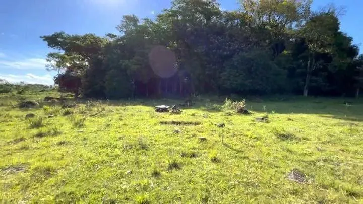 Chácara para Venda em Santo Antônio da Patrulha / RS no bairro Roça Grande