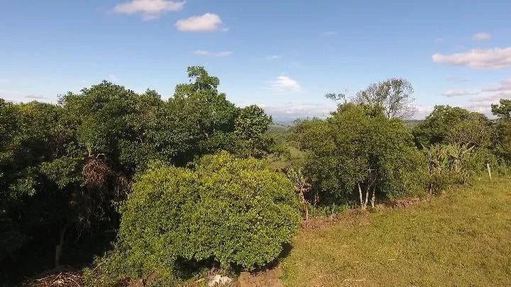 Chácara para Venda em Santo Antônio da Patrulha / RS no bairro Roça Grande