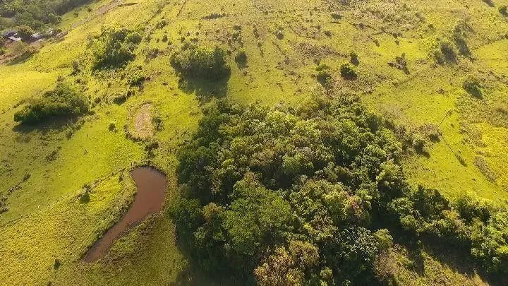 Chácara para Venda em Santo Antônio da Patrulha / RS no bairro Roça Grande