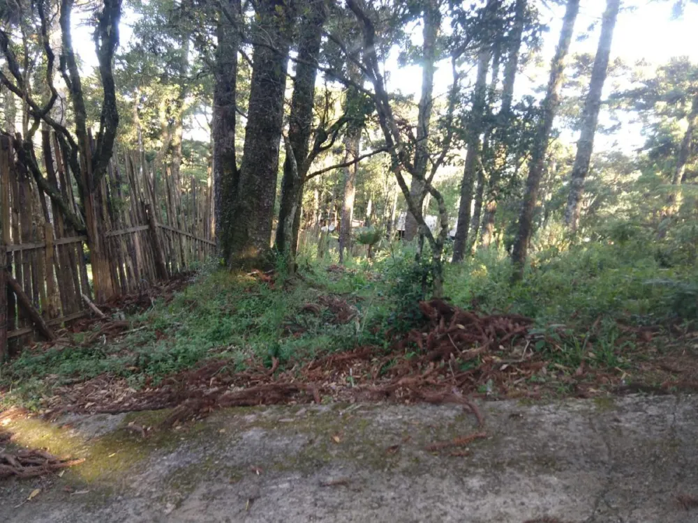 Terreno para Venda em São Francisco de Paula / RS
