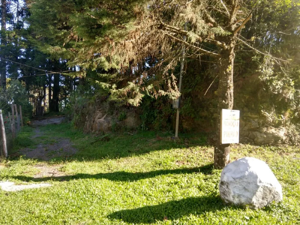 Terreno para Venda em São Francisco de Paula / RS
