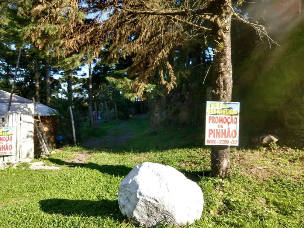 Terreno para Venda em São Francisco de Paula / RS