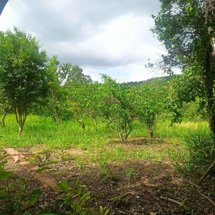 Chácara para Venda em Novo Hamburgo / RS no bairro Lomba Grande