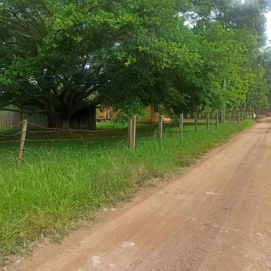 Chácara para Venda em Novo Hamburgo / RS no bairro Lomba Grande