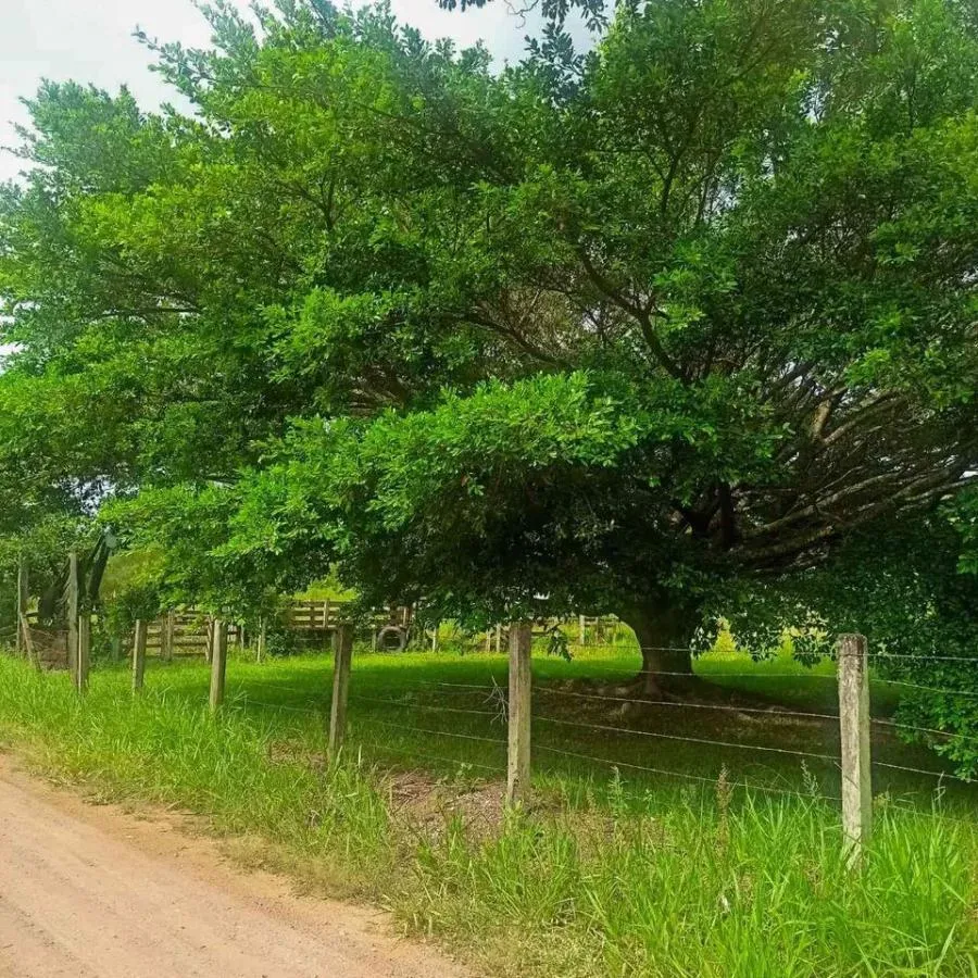 Chácara para Venda em Novo Hamburgo / RS no bairro Lomba Grande