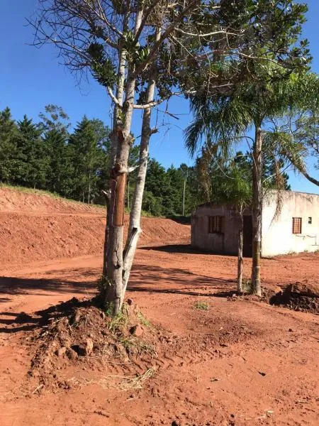 Terreno para Venda em Novo Hamburgo / RS no bairro Lomba Grande