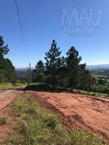 Terreno para Venda em Novo Hamburgo / RS no bairro Lomba Grande