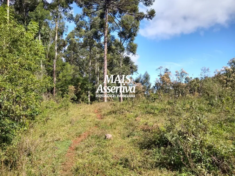 Chácara para Venda em Sapiranga / RS no bairro Bela-hú