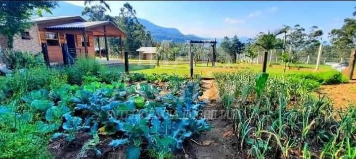 Excelente Chácara para venda em Araricá Bairro Emancipação