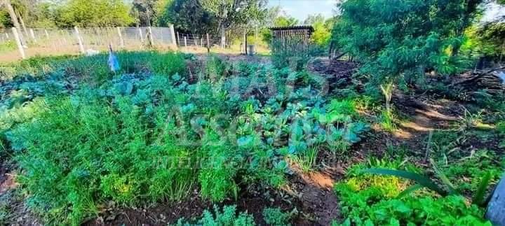 Excelente Chácara para venda em Araricá Bairro Emancipação