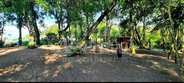 Excelente Chácara para venda em Araricá Bairro Emancipação