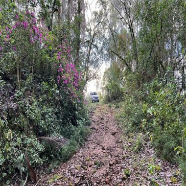 Excelente área de terra para venda em Gramado