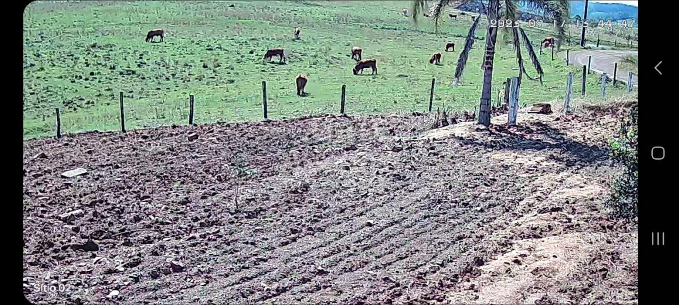 Chácara para Venda em Passo dos Ramos, Santo Antônio da Patrulha/RS.