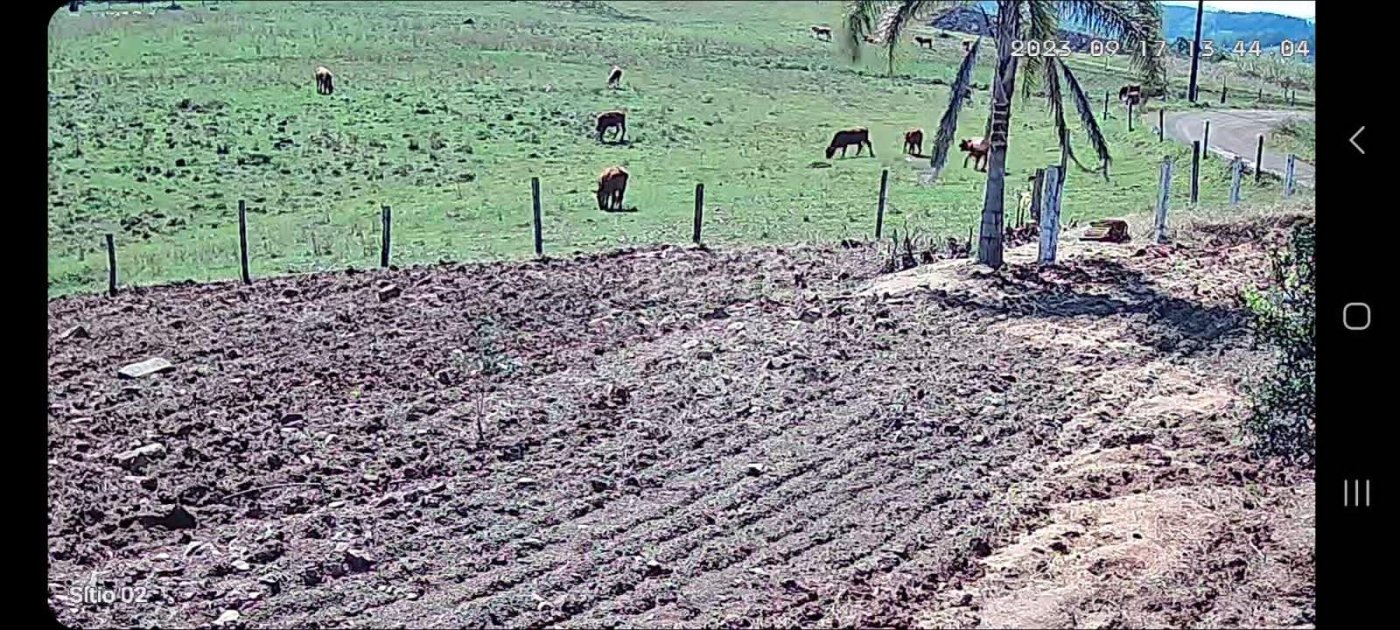 Chácara para Venda em Passo dos Ramos, Santo Antônio da Patrulha/RS.