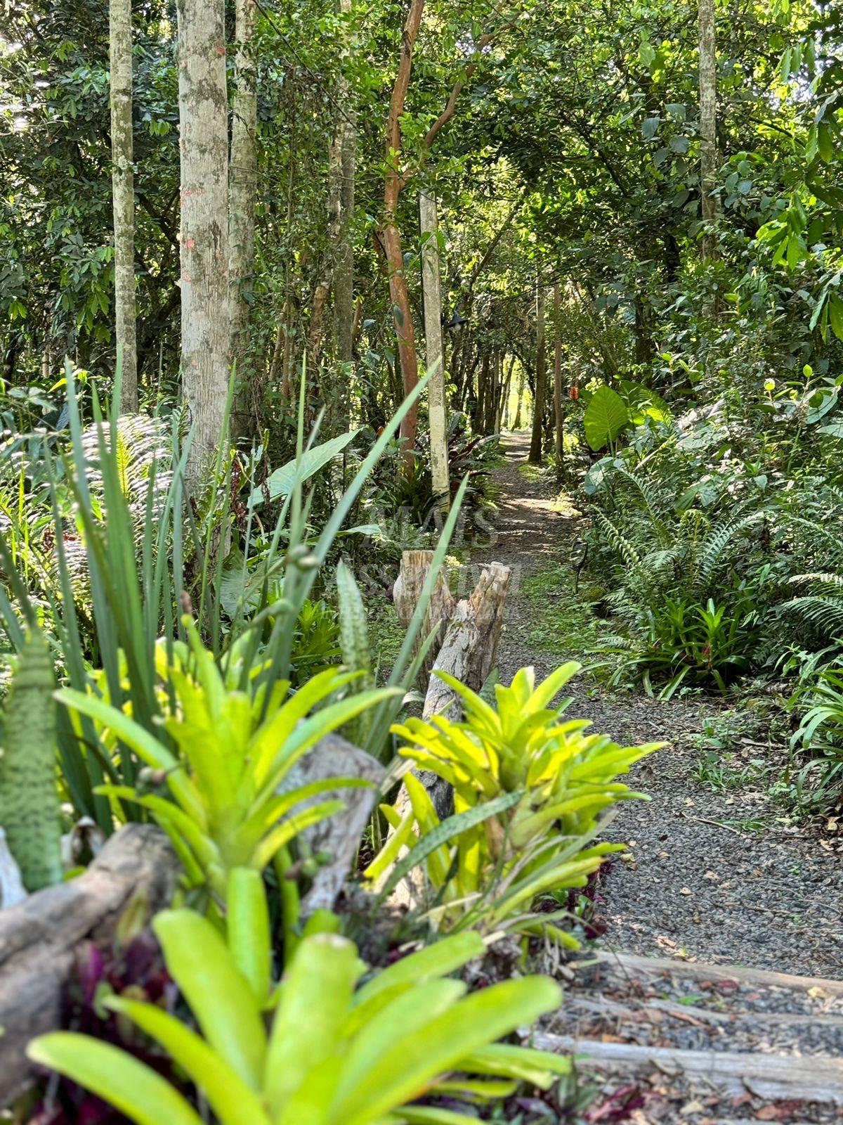 Terreno, 1500 m² - Foto 13