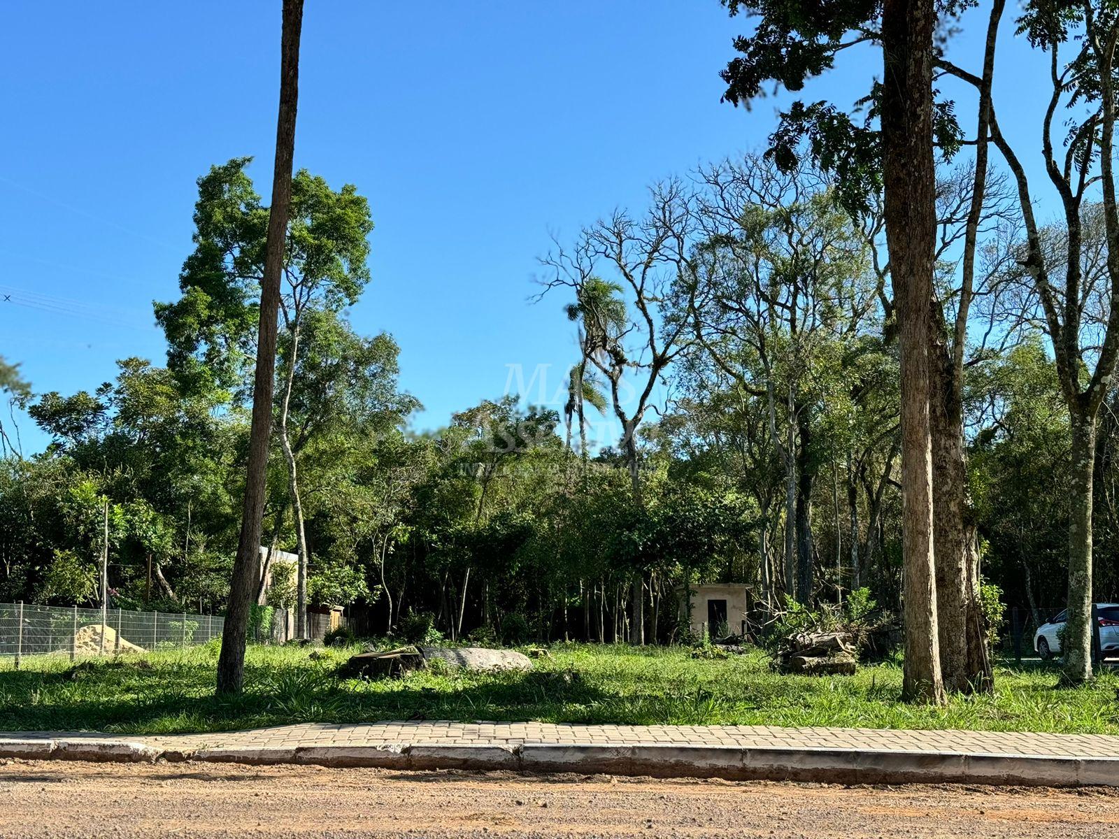 Terreno, 1500 m² - Foto 4