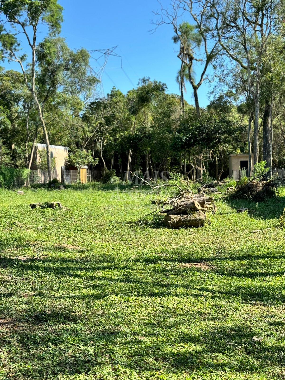 Terreno, 1500 m² - Foto 6